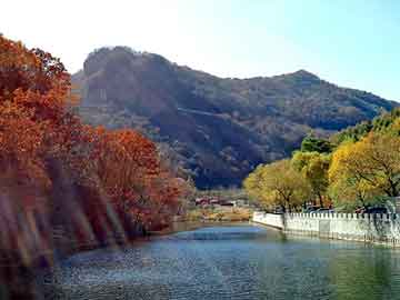 澳门精准正版免费大全14年新，郭晶晶整容